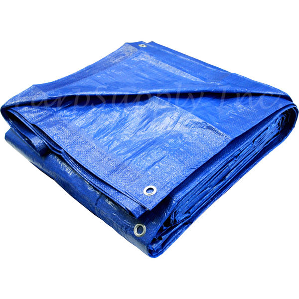 All Purpose Blue Tarp 12' X 20'