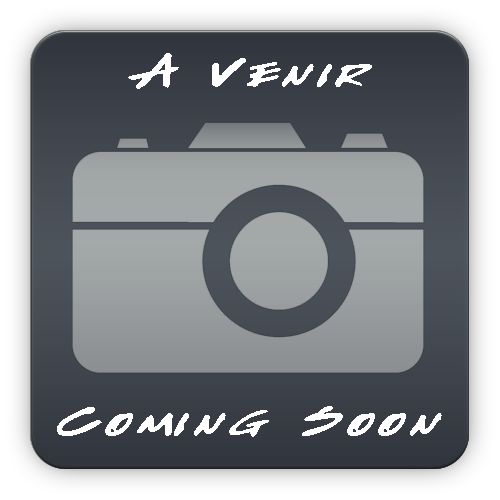 Inside Repl.Lens 2"X4" Mega